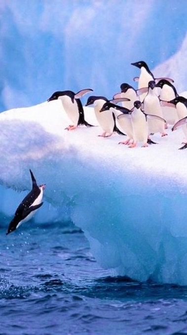 購入者様アフターフォロー用　aki