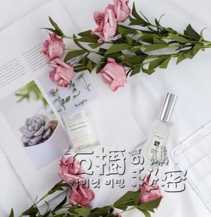 ins風仿真玫瑰花束美食美甲網紅擺拍裝飾花拍照道具攝影拍攝背景 衣櫥秘密