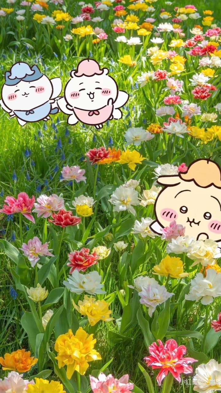 吉伊卡哇♪聚集小天地☔︎