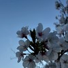 ハンドレ推しとHANA推し大歓迎！！！