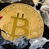 禁言2群  強哥