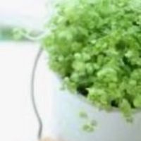 関西🌸40代 50代60代🎐仲良く楽しく🍁話そう遊ぼう飲もう食べよ🙌