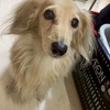 腐女子陰キャ集まれー！
