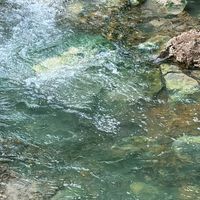 115年度銘傳數媒系新生群