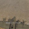 バイアス教
