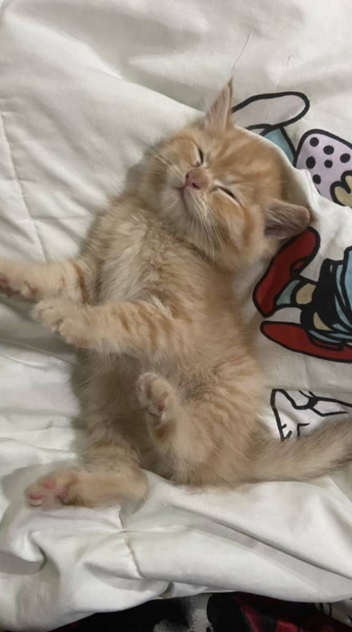 ไม่รู้ๆๆๆๆ