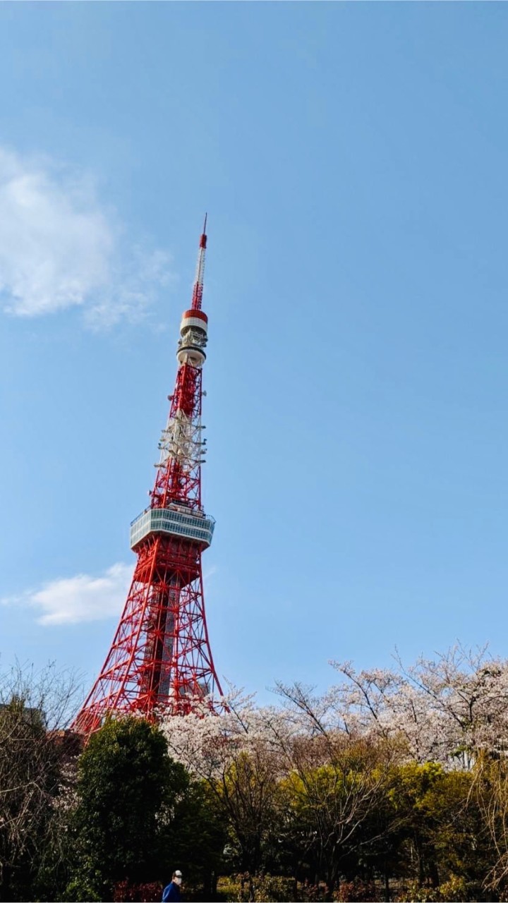 東京房市研究所