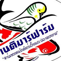 Netimarfarm