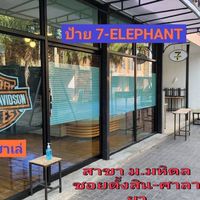 โชว์เบิร์น  ศาลายา