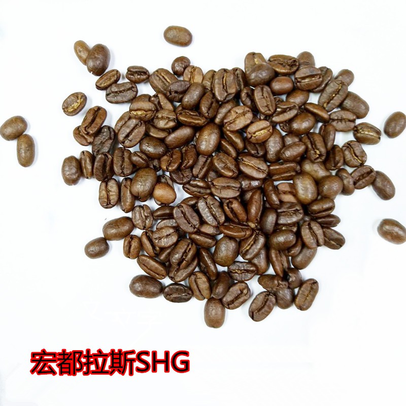 宏都拉斯SHG 現烘咖啡豆(1磅/450g)【免運費】