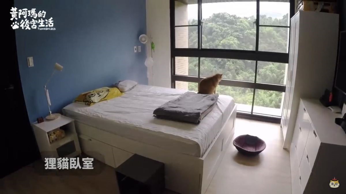 狸貓的房間同樣用藍色作為主視覺。