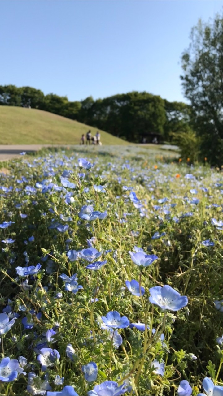 愛媛県 松山市友達100人できるかな？