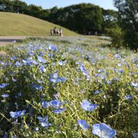 愛媛県 松山市友達100人できるかな？