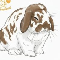 JAIJAI Rabbit Home.