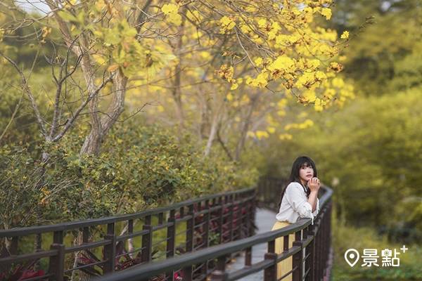 絕美風鈴木環湖步道 禪風吊橋踏青一日遊 景點家 Line Today