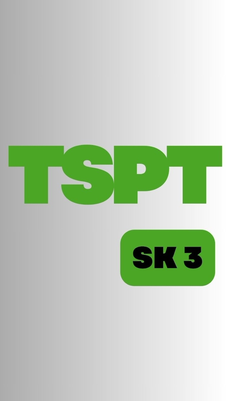 VTA - TSPT ( SK3 )