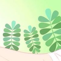 體內環保  排(獨) 袪濕