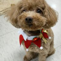 金龍網購城
