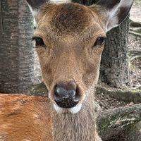 雑談なんだよね！