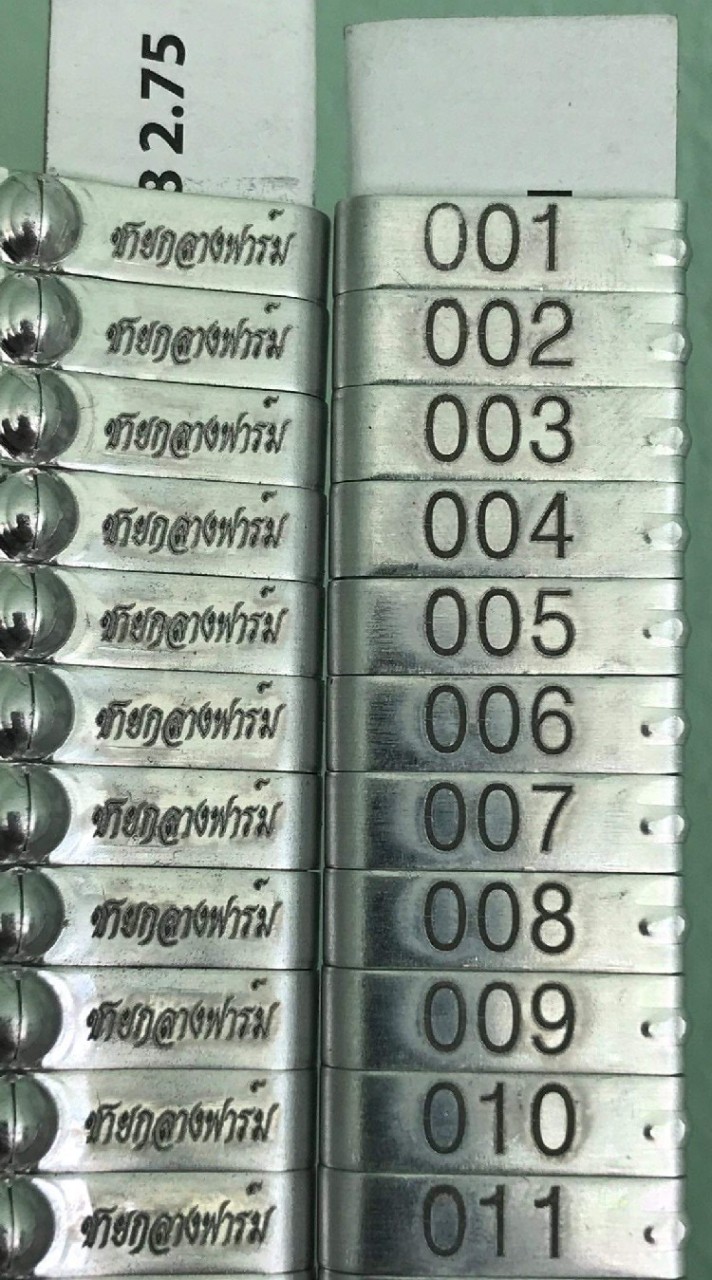 ชายกลางฟาร์ม