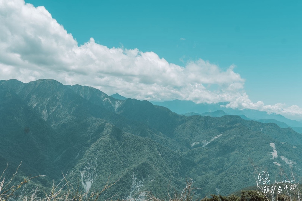 合歡山杜鵑花季 高山杜鵑 玉山杜鵑 賞花景點