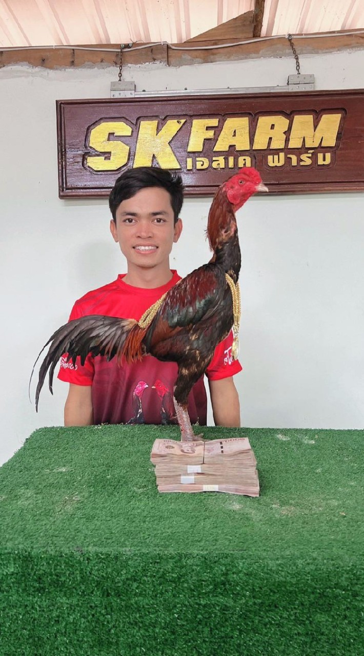 SK ฟาร์ม__ทองคำแท้__