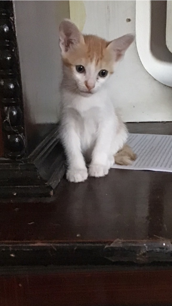 คุยเล่นแต่ห้ามจีบตาลเพราะตูเปนผัวของตาลล