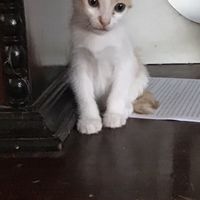 คุยเล่นแต่ห้ามจีบตาลเพราะตูเปนผัวของตาลล