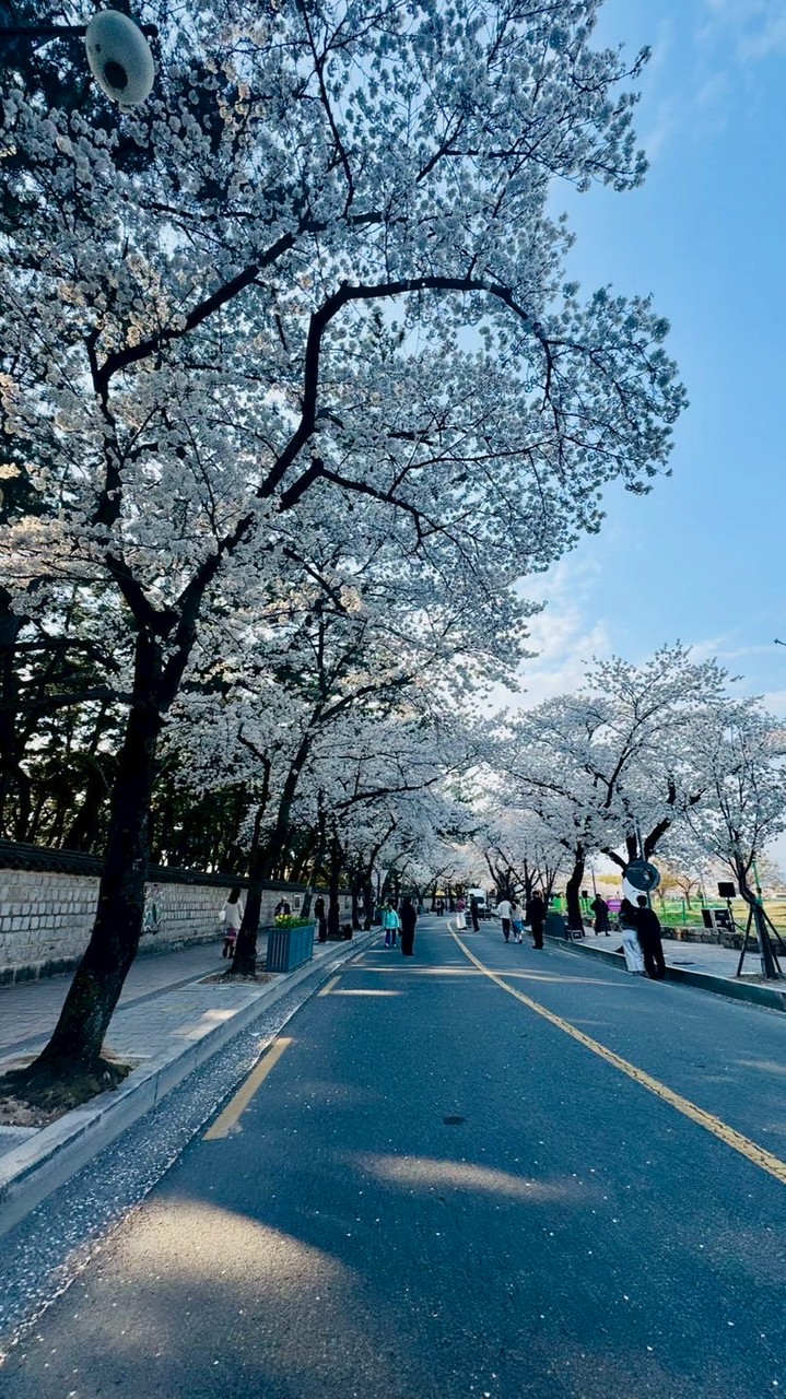 🇰🇷哲棉被🇰🇷韓國好物代購