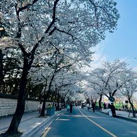 🇰🇷哲棉被🇰🇷韓國好物代購