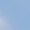 ロブロックスをやろう(ブロフル、庭を成長させるなど…)