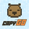 CapyGoのゲーム画面
