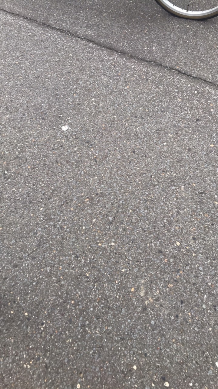 いじめ相談のオープンチャット