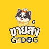 Giftmedog Wholesale ขายส่ง