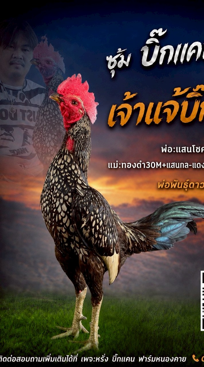 กลุ่ม1บิ๊กแคนฟาร์ม