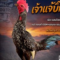 กลุ่ม1บิ๊กแคนฟาร์ม
