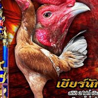 โชคทวินฟาร์ม
