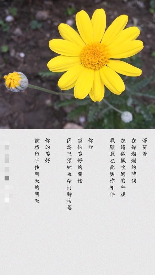 一起讀書 品茶