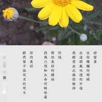 一起讀書 品茶