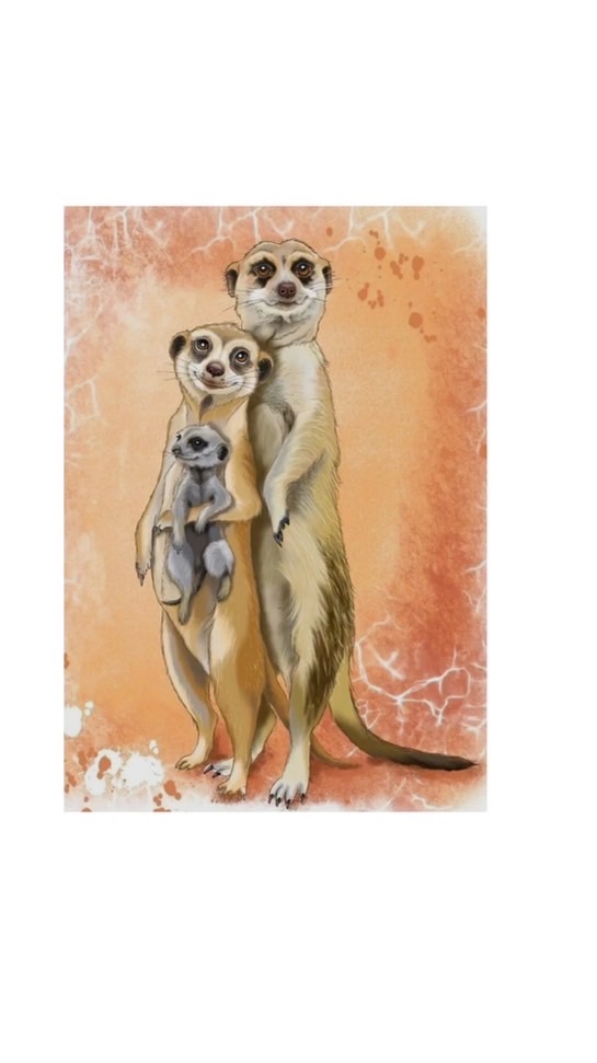 狐獴控*狐獴的異想世界*Meerkat*
