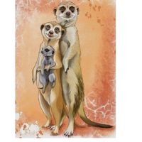 狐獴控*狐獴的異想世界*Meerkat*