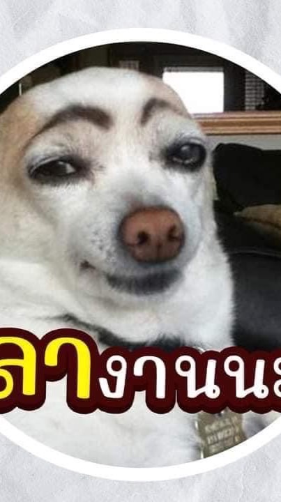 พระวิทยากร+พี่เลี้ยง โครงการฯ