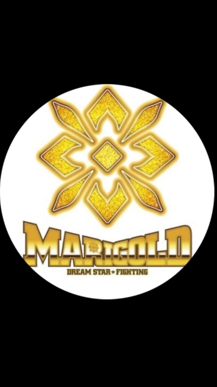 マリーゴールド ﾛｯｼｰ新団体