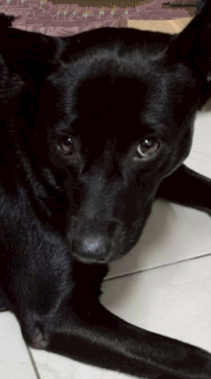 包美美批發公告(請先看置頂公告)