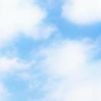 【学生限定】偽家族作りたい人集まれ〜!