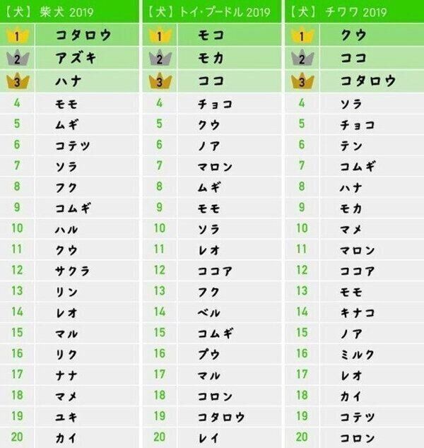 食べ物の名前が多数ランクイン メス犬の名前ランキング