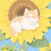 มาเอาของฟรีกันเถอะ 🌻
