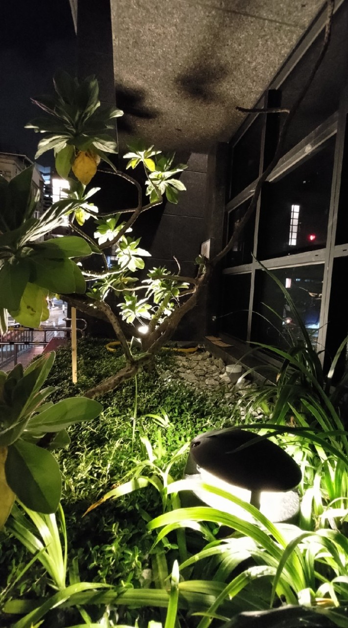 板新綻交流園地