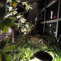 板新綻交流園地