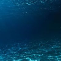 🌊[Underwater Roleplay]💧🫧